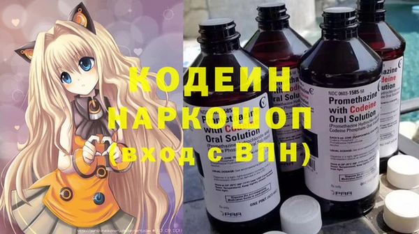 эйфоретик Няндома