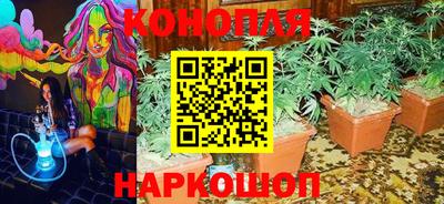 эйфоретик Пушкино