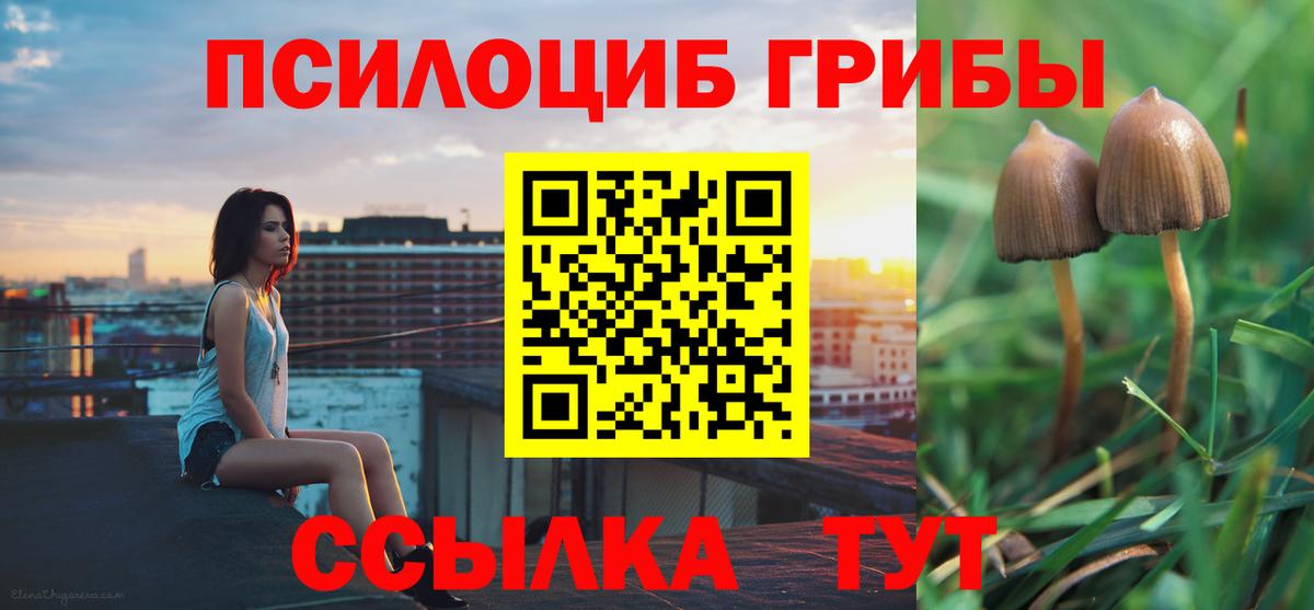 Галлюциногенные грибы Psilocybine cubensis Учалы